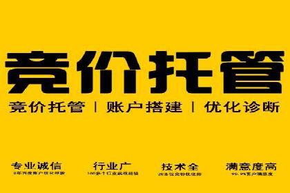 成功运用SEM技术提升网站流量的案例研究